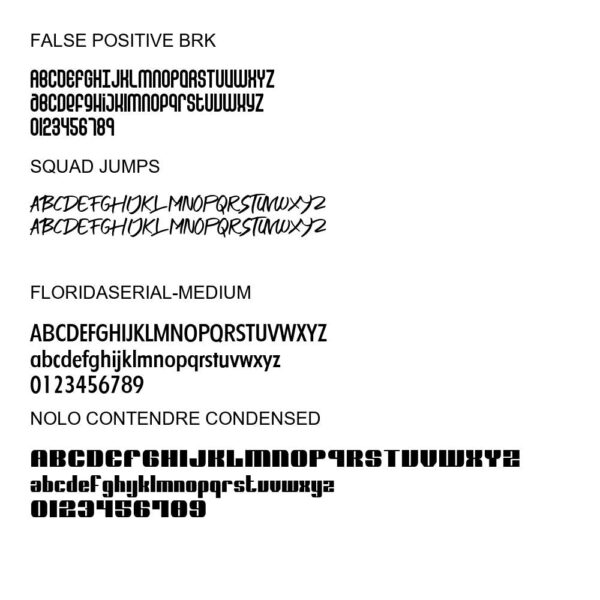 100 Premium Fonts Collection - Perfect for Designers and Creators V001 - Image 18
