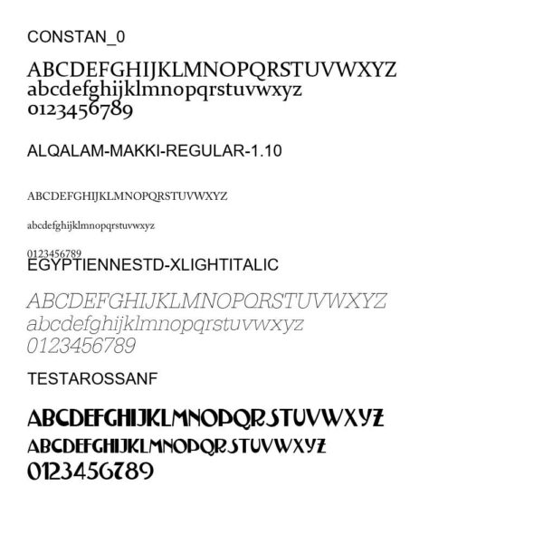 100 Premium Fonts Collection - Perfect for Designers and Creators V002 - Image 17