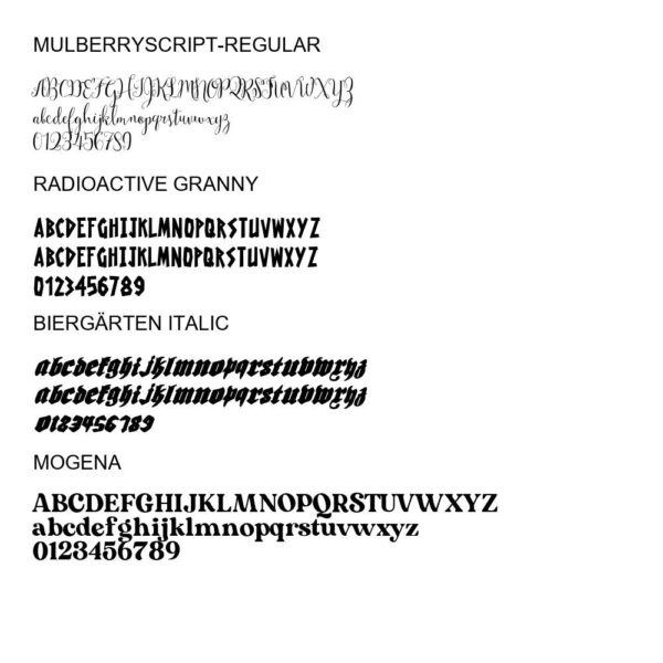 100 Premium Fonts Collection - Perfect for Designers and Creators V002 - Image 11