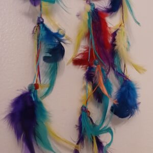 Chakra Color Dreamcatcher