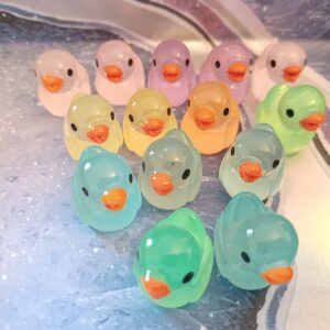 Ducks - Glow In The Dark
