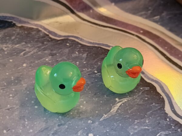 Ducks - Glow In The Dark - Image 6
