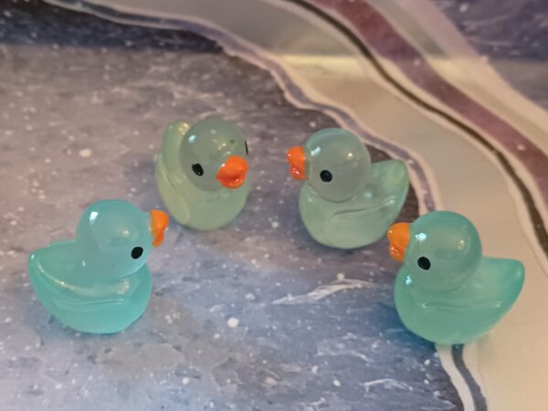 Ducks - Glow In The Dark - Image 8