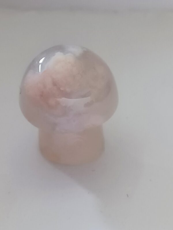Little Mushrooms (1 Piece) - Image 6