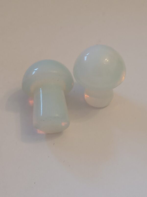 Little Mushrooms (1 Piece) - Image 12
