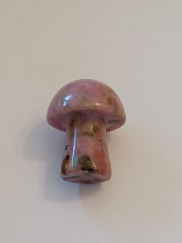 Little Mushrooms (1 Piece) - Image 13