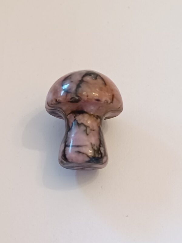 Little Mushrooms (1 Piece) - Image 14