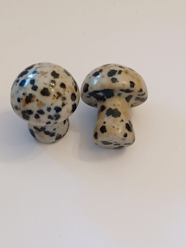Little Mushrooms (1 Piece) - Image 15