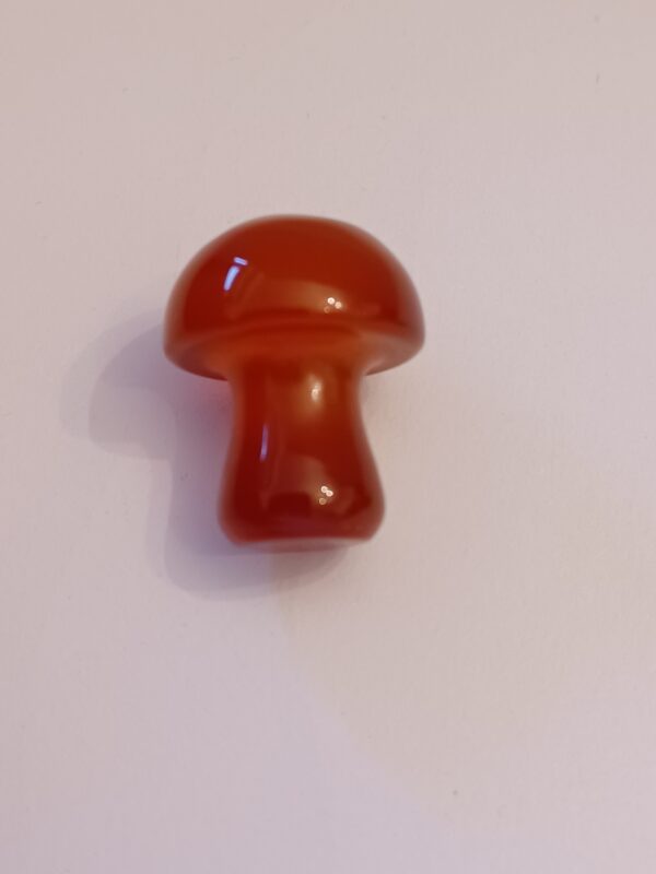 Little Mushrooms (1 Piece) - Image 21