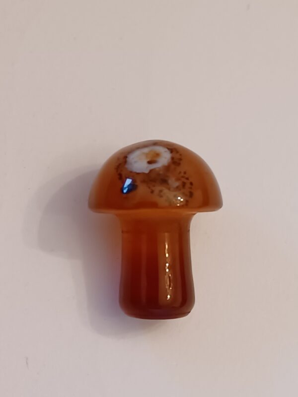 Little Mushrooms (1 Piece) - Image 22