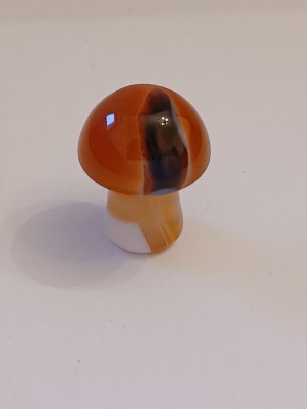 Little Mushrooms (1 Piece) - Image 23
