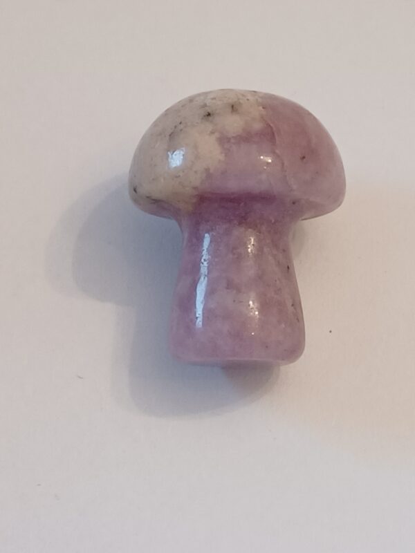Little Mushrooms (1 Piece) - Image 25