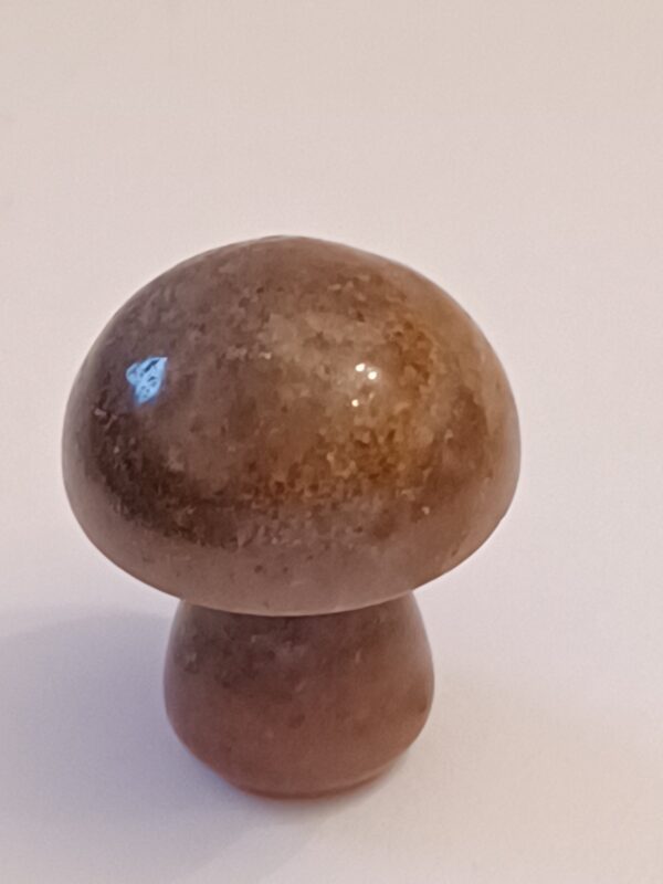Little Mushrooms (1 Piece) - Image 27