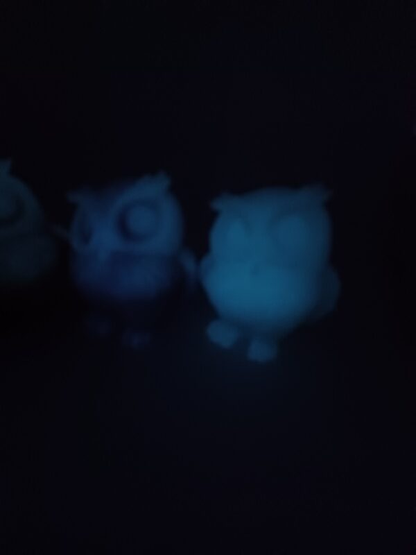 Owl - Glow in the Dark - Image 5