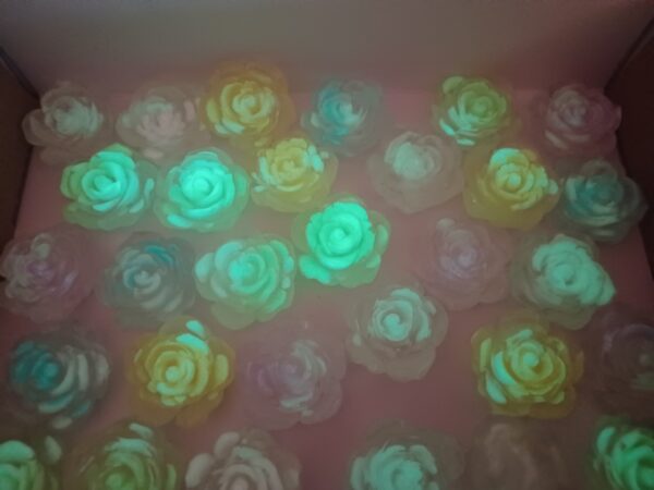 Flowers - Glow In The Dark - Image 2