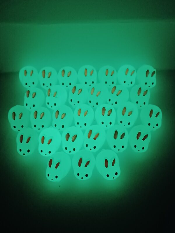 Bunnies - Glow In The Dark - Image 2