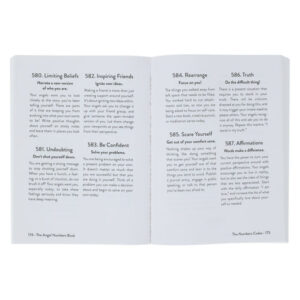 The Angel Numbers Book
