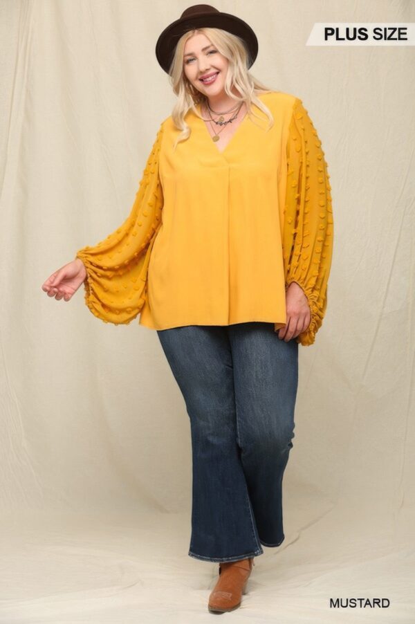 Woven And Textured Chiffon Top With Voluminous Sheer Sleeves - Image 5