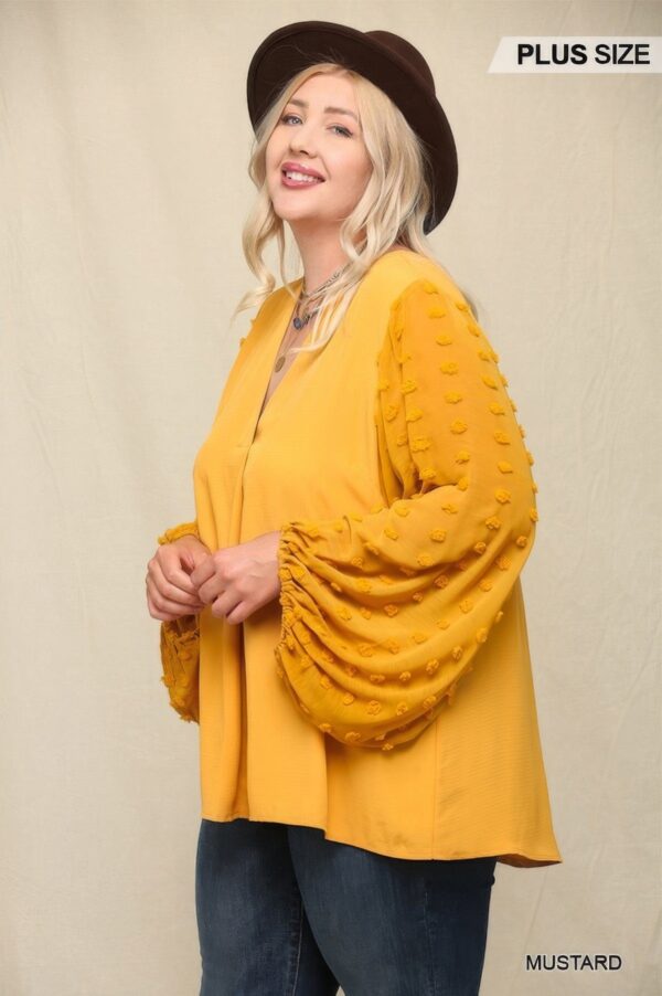 Woven And Textured Chiffon Top With Voluminous Sheer Sleeves - Image 2