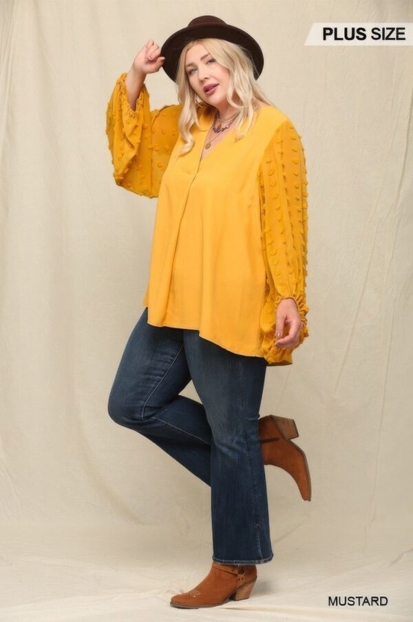 Woven And Textured Chiffon Top With Voluminous Sheer Sleeves - Image 4
