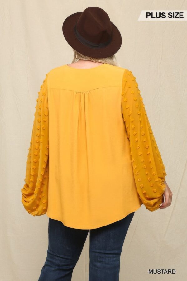 Woven And Textured Chiffon Top With Voluminous Sheer Sleeves - Image 3