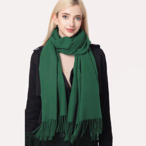 Fashion Basic Blanket Scarf - Image 5