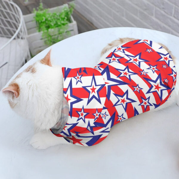 Patriotic Kitty Sweater - Image 2