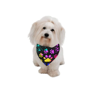 Paw Print Dog Bandana